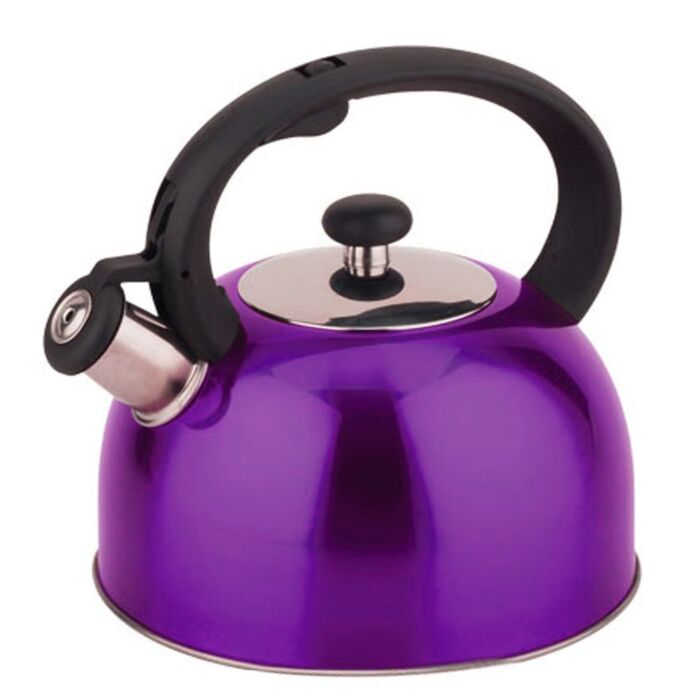 The Hygienic Kettle  Review of the Glass Stovetop Whistling