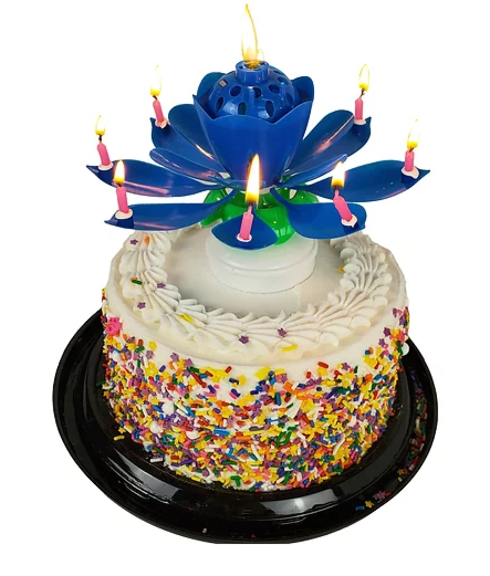 MUSICAL FLOWER BIRTHDAY CAKE CANDLE – Barber Place Official