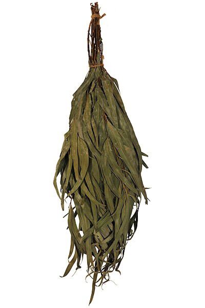  Birch + Lemon-Balm Sauna Whisk Venik Broom Season 2020  SaunaGoods Organic Massage Banya Wenik Natural Bath House (1 Piece of Sauna  Broom) : Health & Household